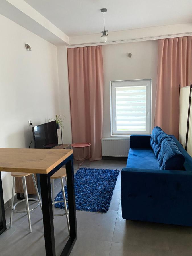 Apartamenty Pod Wierzbami Dwikozy Bagian luar foto